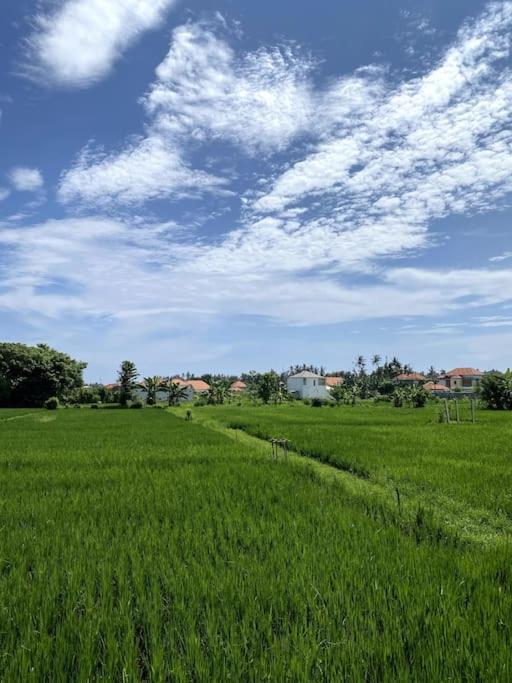 Villa Vespa Lovina Eksteriør billede